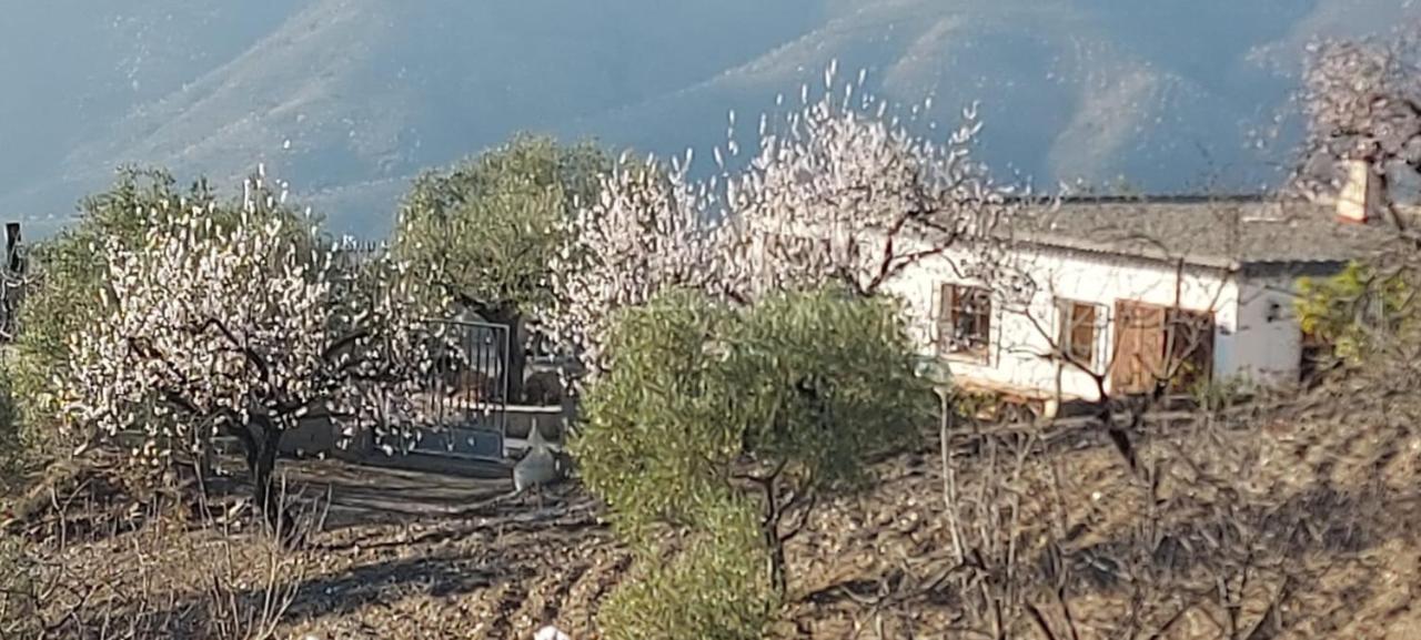 Cortijo Blanco Villa Albondon Eksteriør bilde