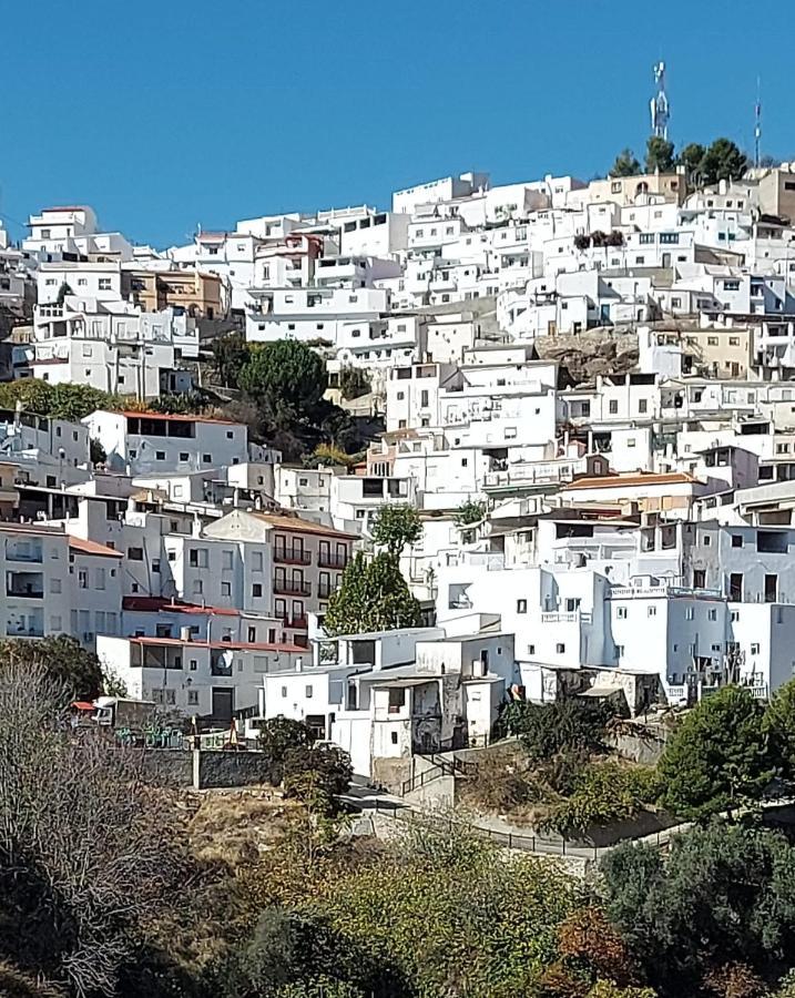 Cortijo Blanco Villa Albondon Eksteriør bilde
