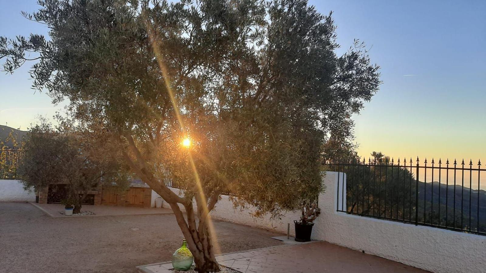 Cortijo Blanco Villa Albondon Eksteriør bilde