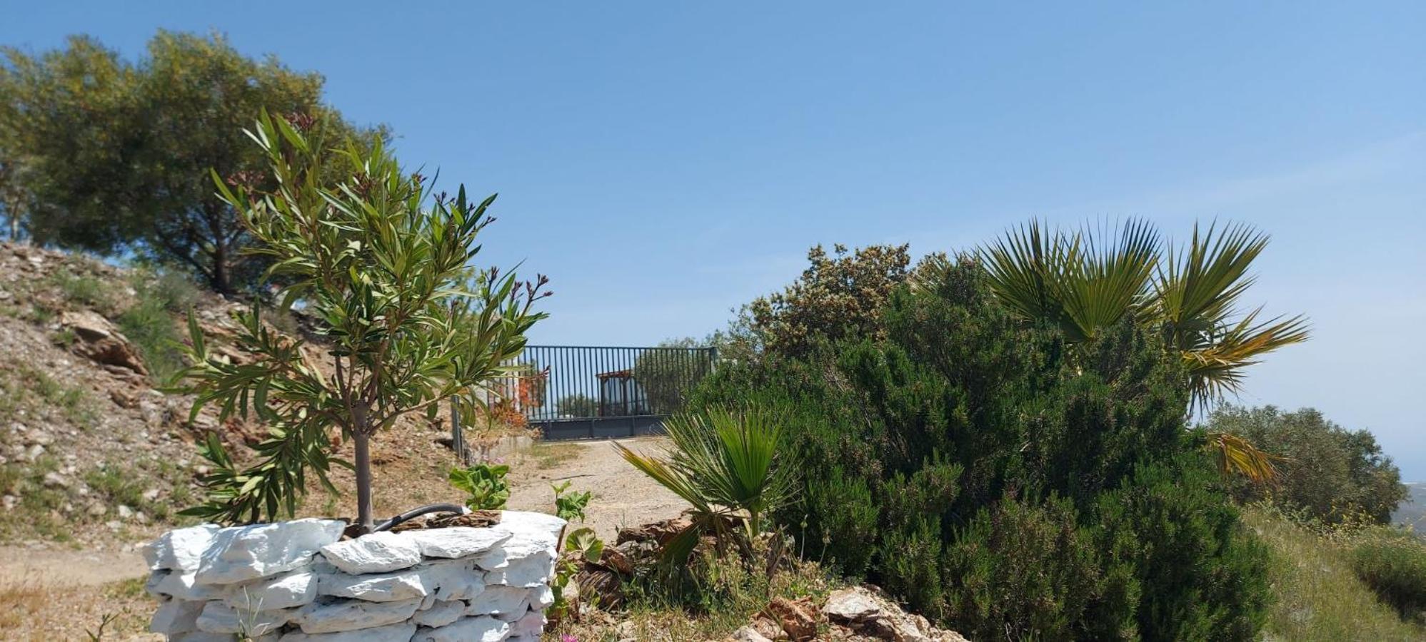Cortijo Blanco Villa Albondon Eksteriør bilde