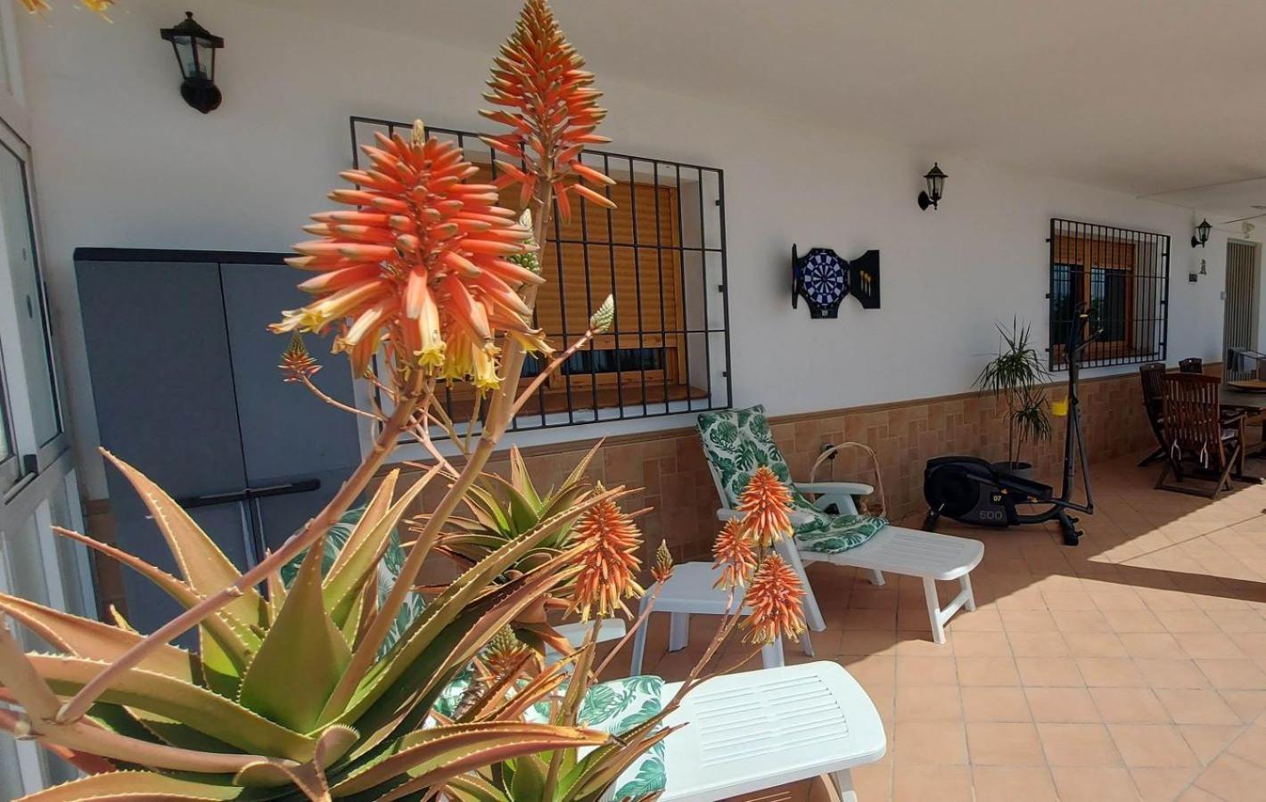 Cortijo Blanco Villa Albondon Eksteriør bilde