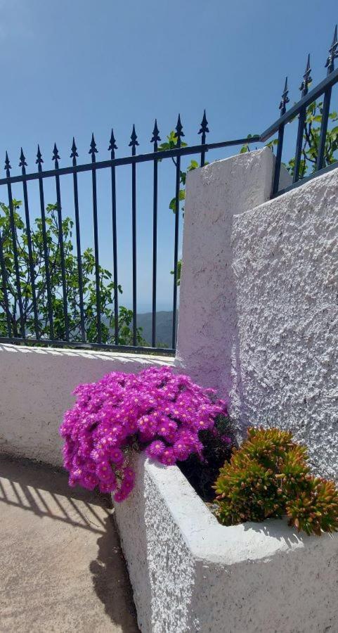 Cortijo Blanco Villa Albondon Eksteriør bilde